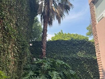 place photo 55