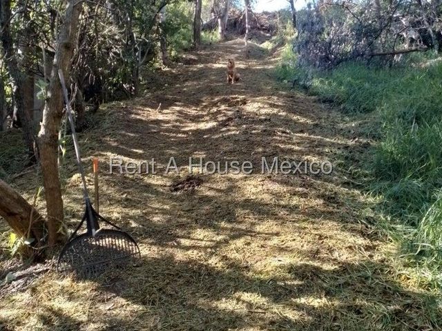 place photo 42