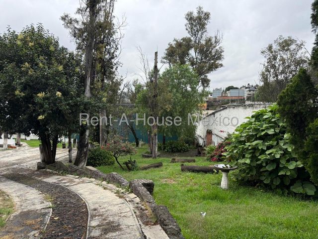 place photo 49
