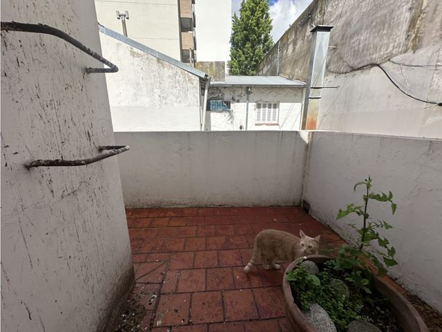 place photo 29