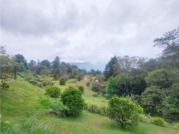 place photo 50