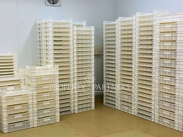 place photo 21