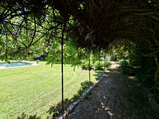 place photo 59