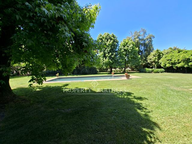 place photo 53