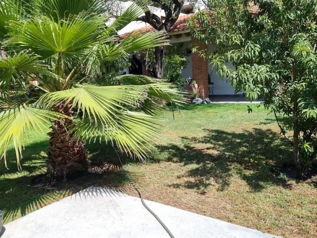 place photo 39