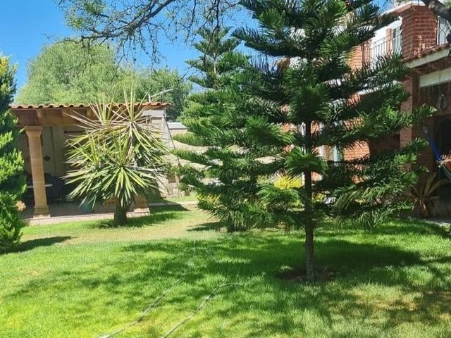 place photo 38