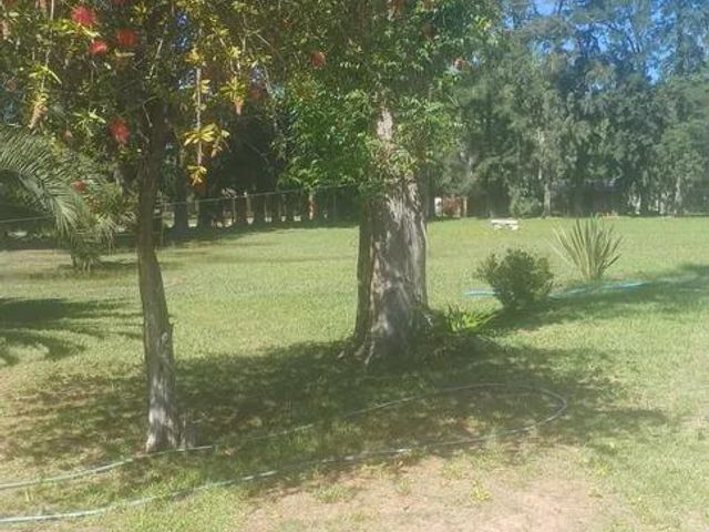 place photo 21