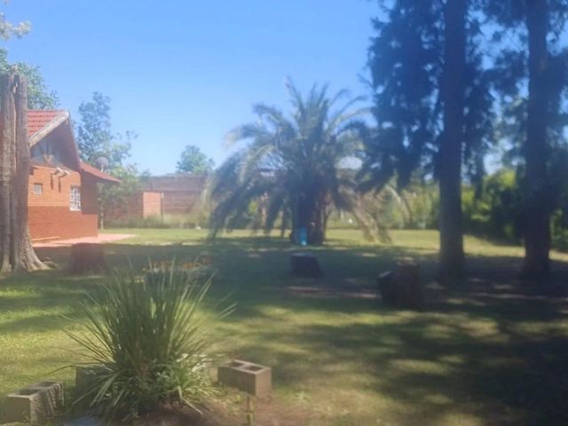 place photo 16