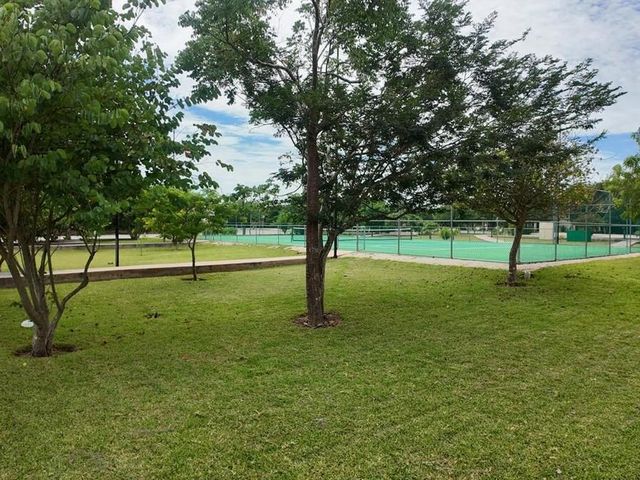 place photo 17