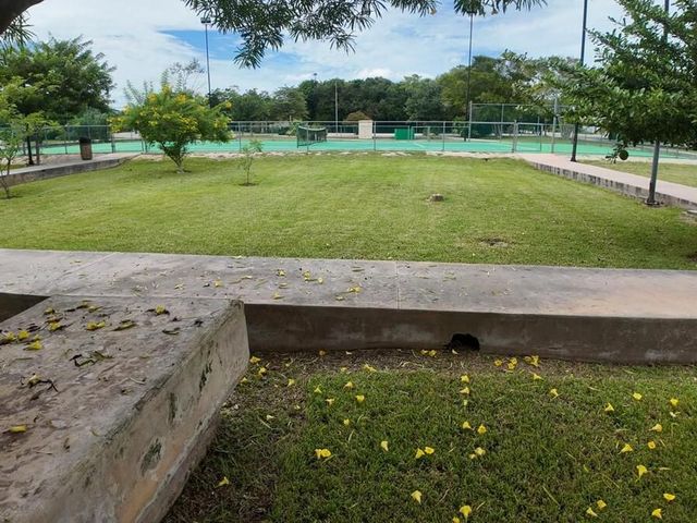place photo 10
