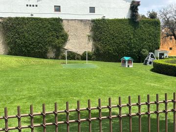 place photo 39