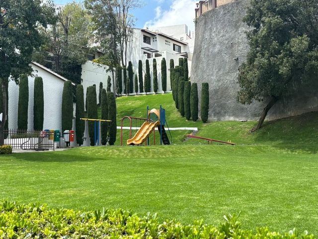 place photo 40