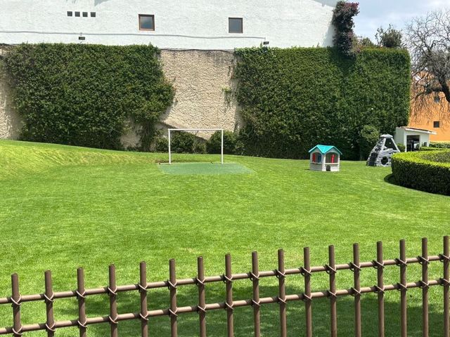 place photo 39