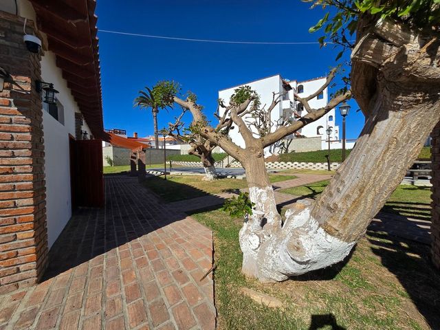 place photo 41