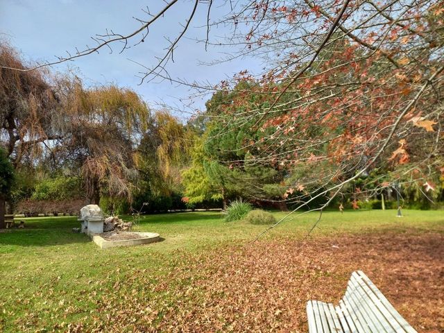 place photo 53