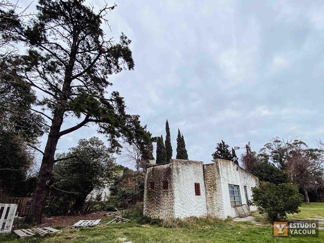 place photo 35