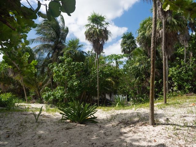 place photo 44