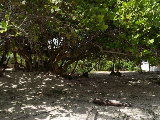 place photo 43