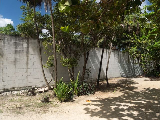 place photo 46