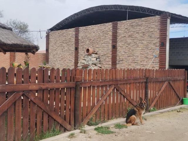 place photo 49