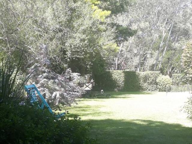 place photo 33
