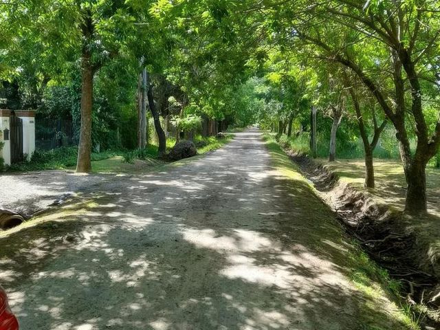 place photo 26