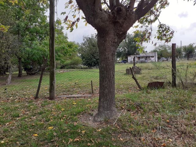 place photo 14