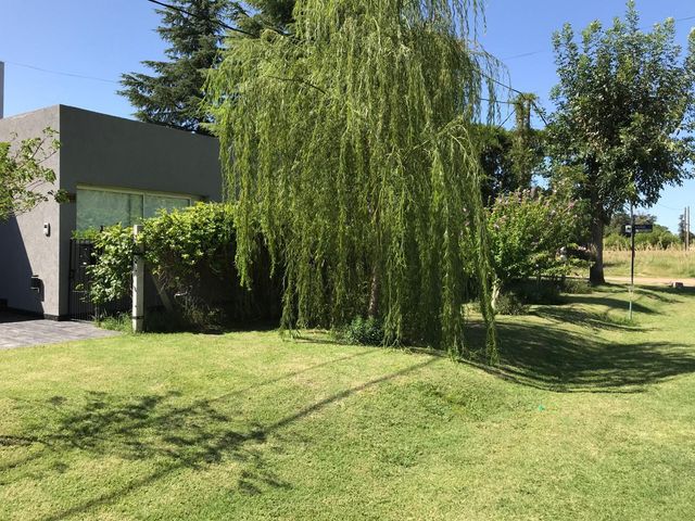 place photo 41