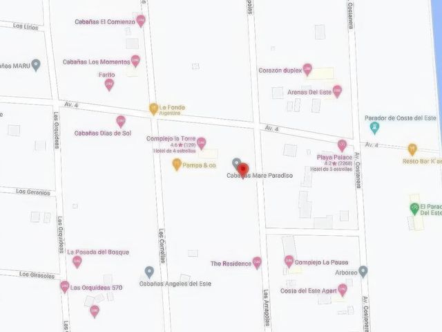 place photo 12