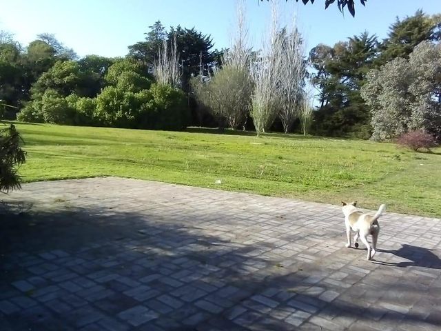 place photo 37