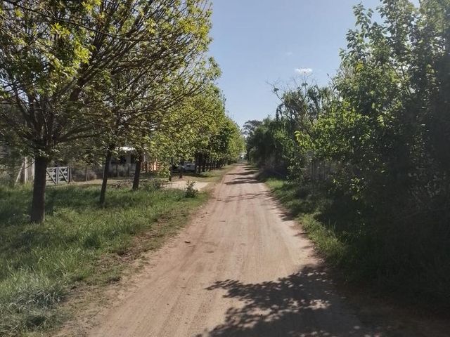 place photo 5