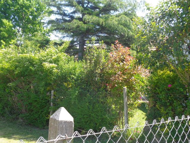 place photo 21