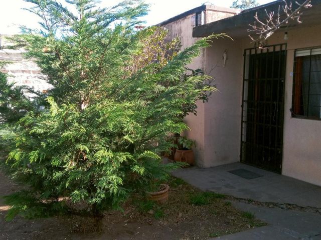place photo 26