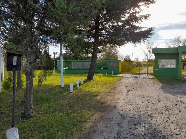 place photo 15