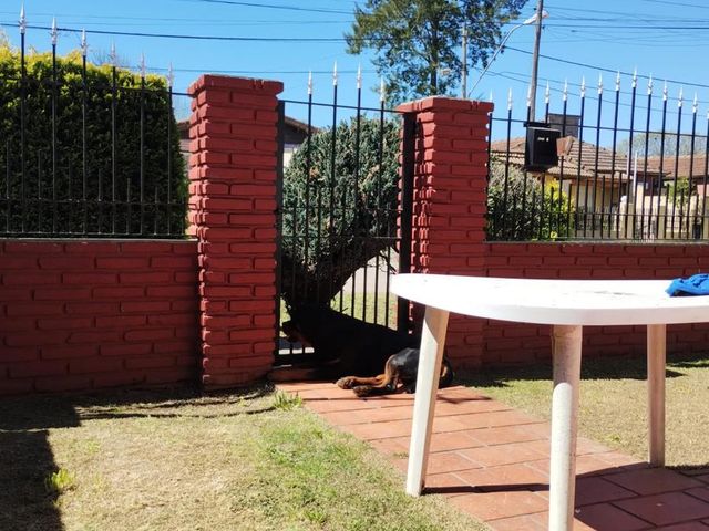 place photo 39