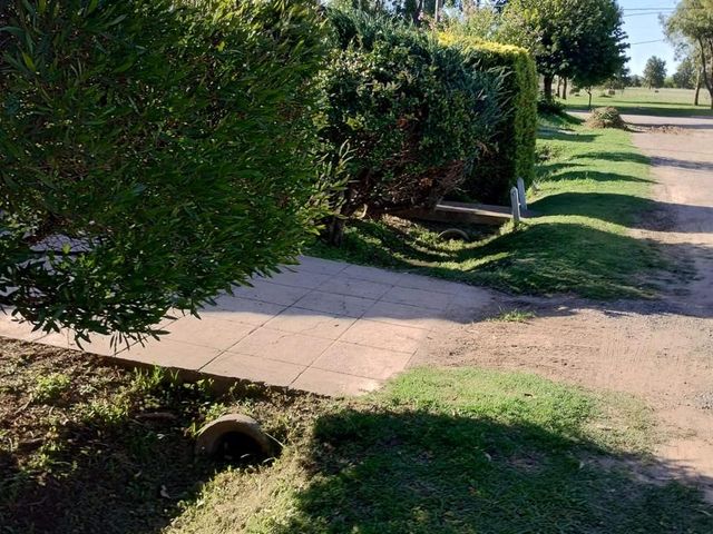 place photo 18