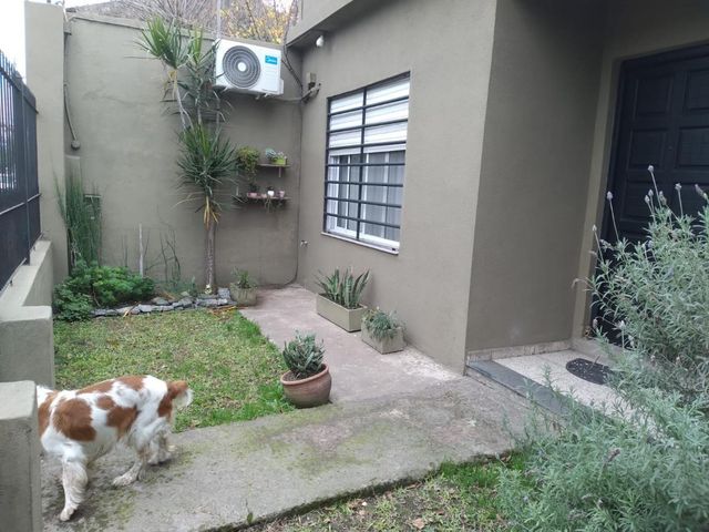 place photo 24
