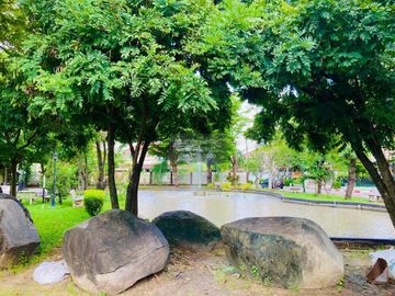 place photo 11