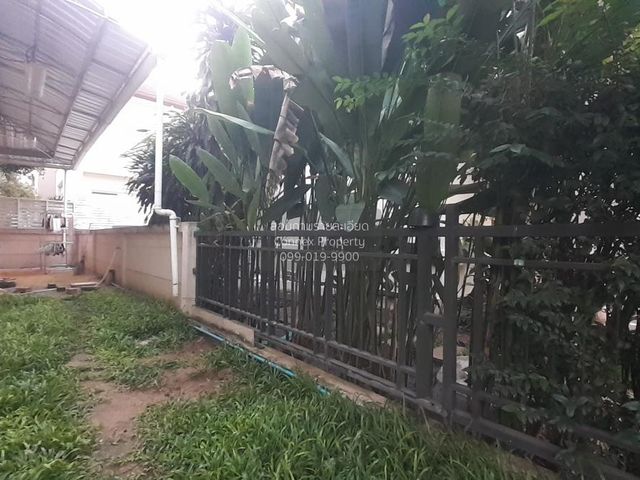 place photo 44