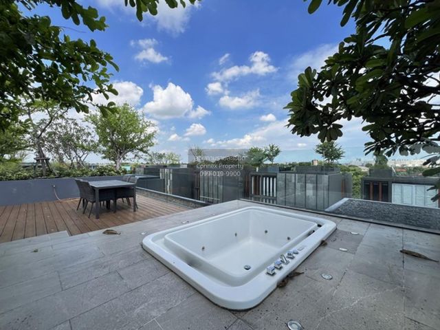 place photo 74