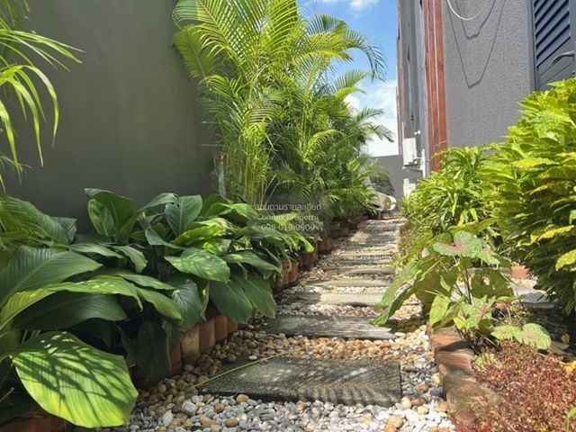 place photo 80