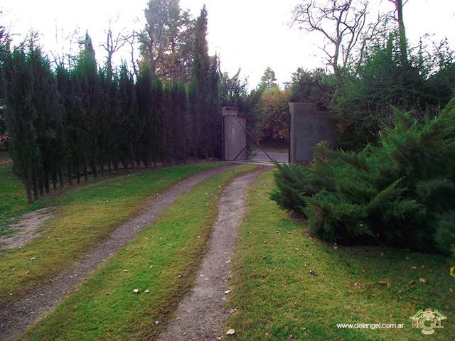 place photo 11