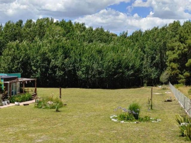 place photo 18