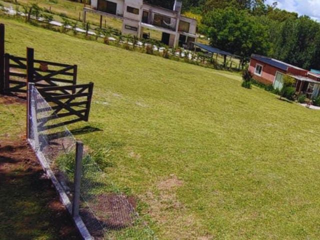 place photo 17