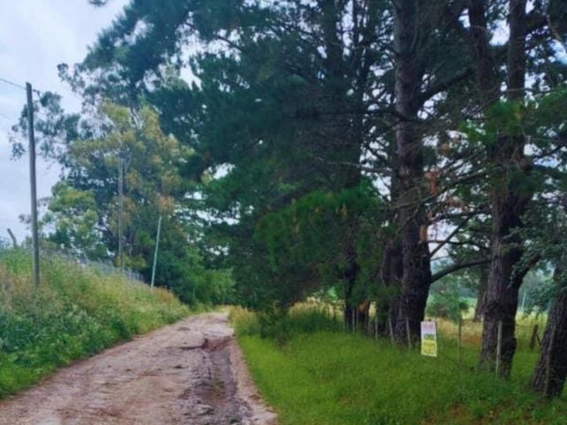 place photo 20