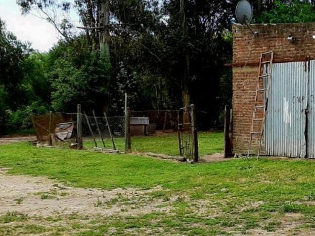 place photo 14