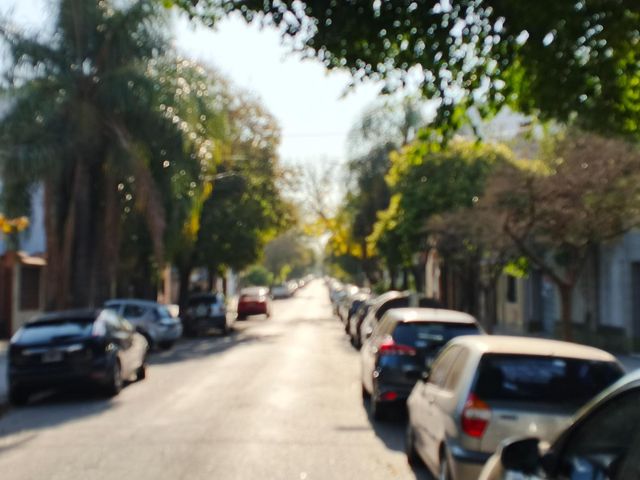 place photo 29