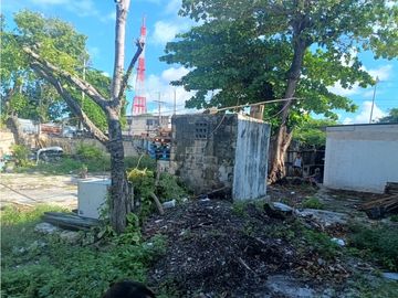 place photo 13
