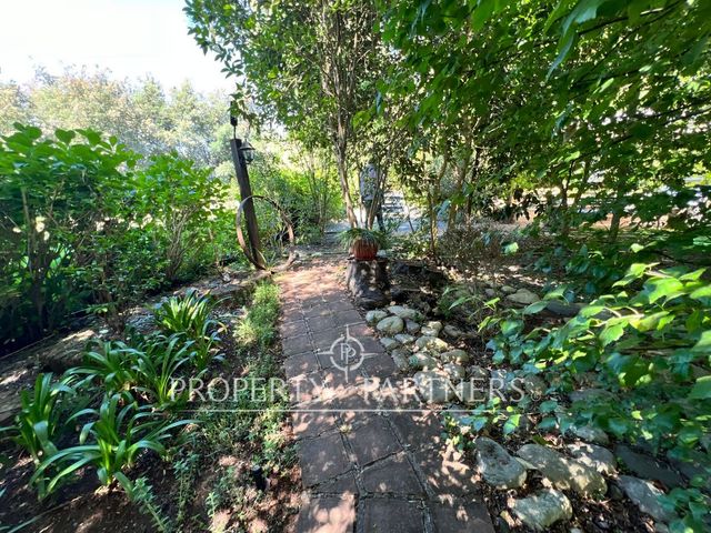 place photo 72