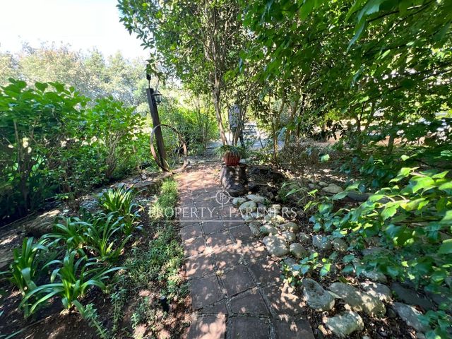 place photo 72